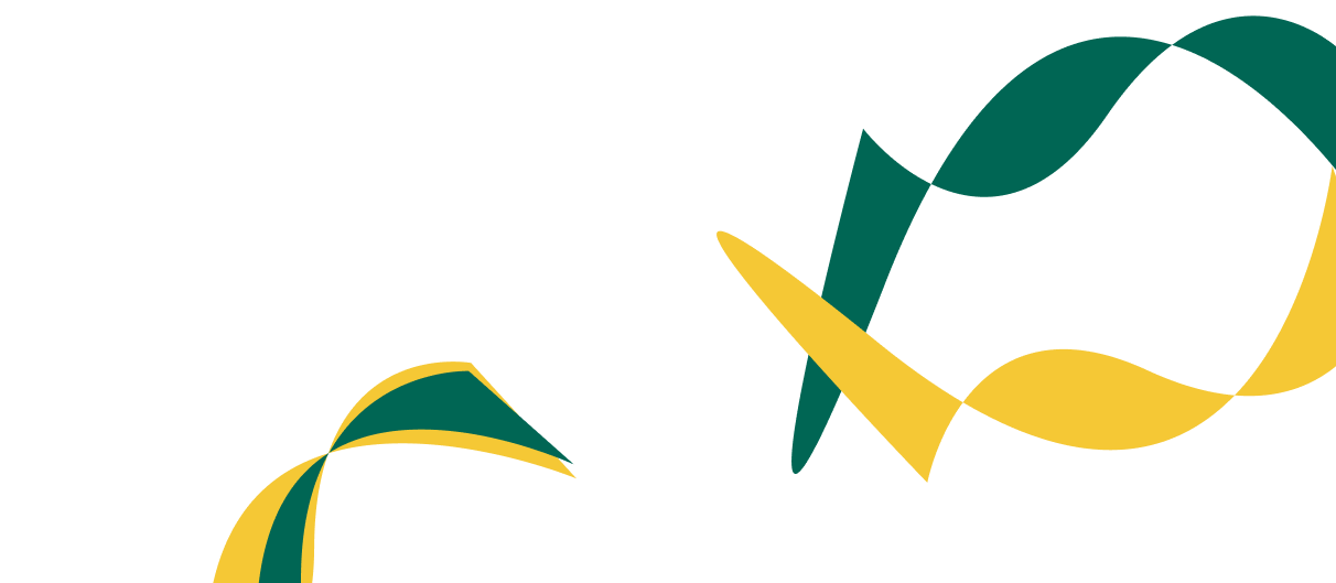Expert Solutions for Corporate  Financial Success. - 世界杯直播